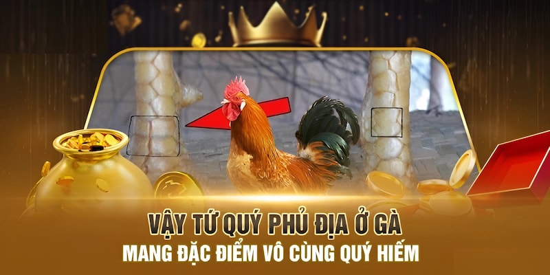 vay-ga-tu-quy-phu-dia-Kha-nang-chien-dau-bat-bai-cua-chien-ke